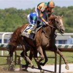 Peach Tie - Miss Preakness Stakes G3 - Laurel Park - Barbara D. Livingston - Daily Racimg Form