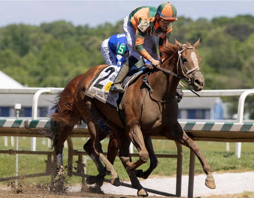 Peach Tie - Miss Preakness Stakes G3 - Laurel Park - Barbara D. Livingston - Daily Racimg Form