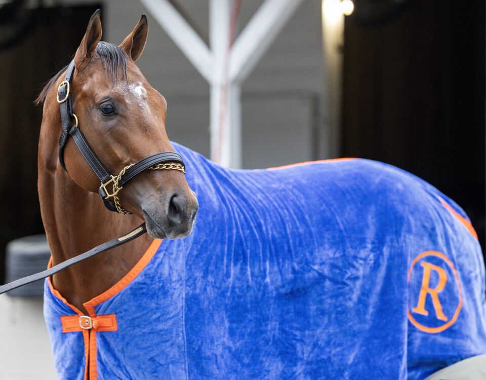 Renegade - Debbie Roma - Daily Racing Form