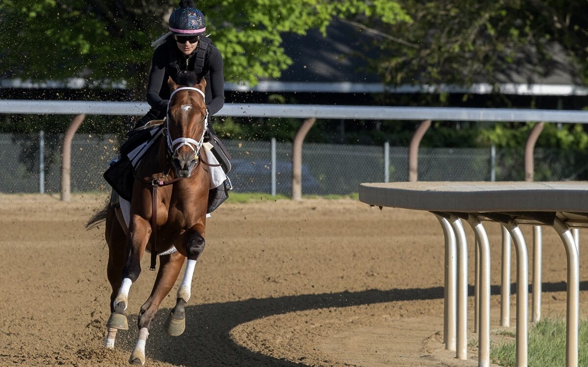 Renegade - Barbara D. Livingston - Saratoga