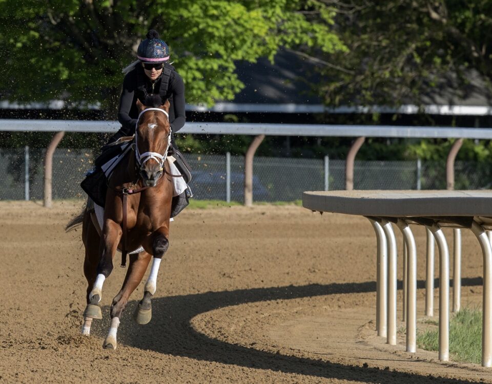 Renegade - Barbara D. Livingston - Saratoga