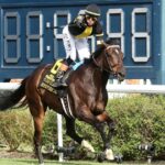 Rhetorical - Old Forester Bourbon Turf Classic G1 - Churchill Downs - Coady Media