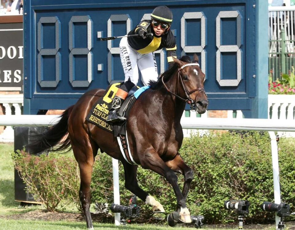 Rhetorical - Old Forester Bourbon Turf Classic G1 - Churchill Downs - Coady Media