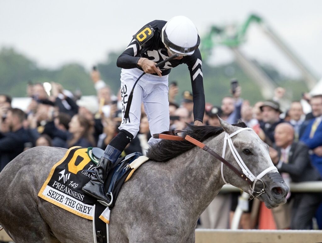 Seize the Grey - Preakness Stakes - DRF Barbara Livingston