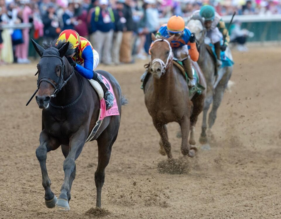 T O Elvis - Churchill Downs Stakes G1 - Barbara D. Livingston - Daily Racing Form