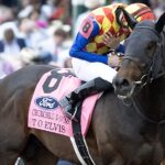 T O Elvis (Japan) - Barbara D. Livingston - Daily Racing Form