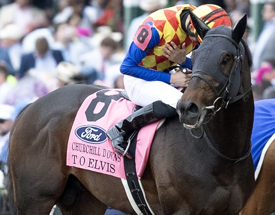 T O Elvis (Japan) - Barbara D. Livingston - Daily Racing Form
