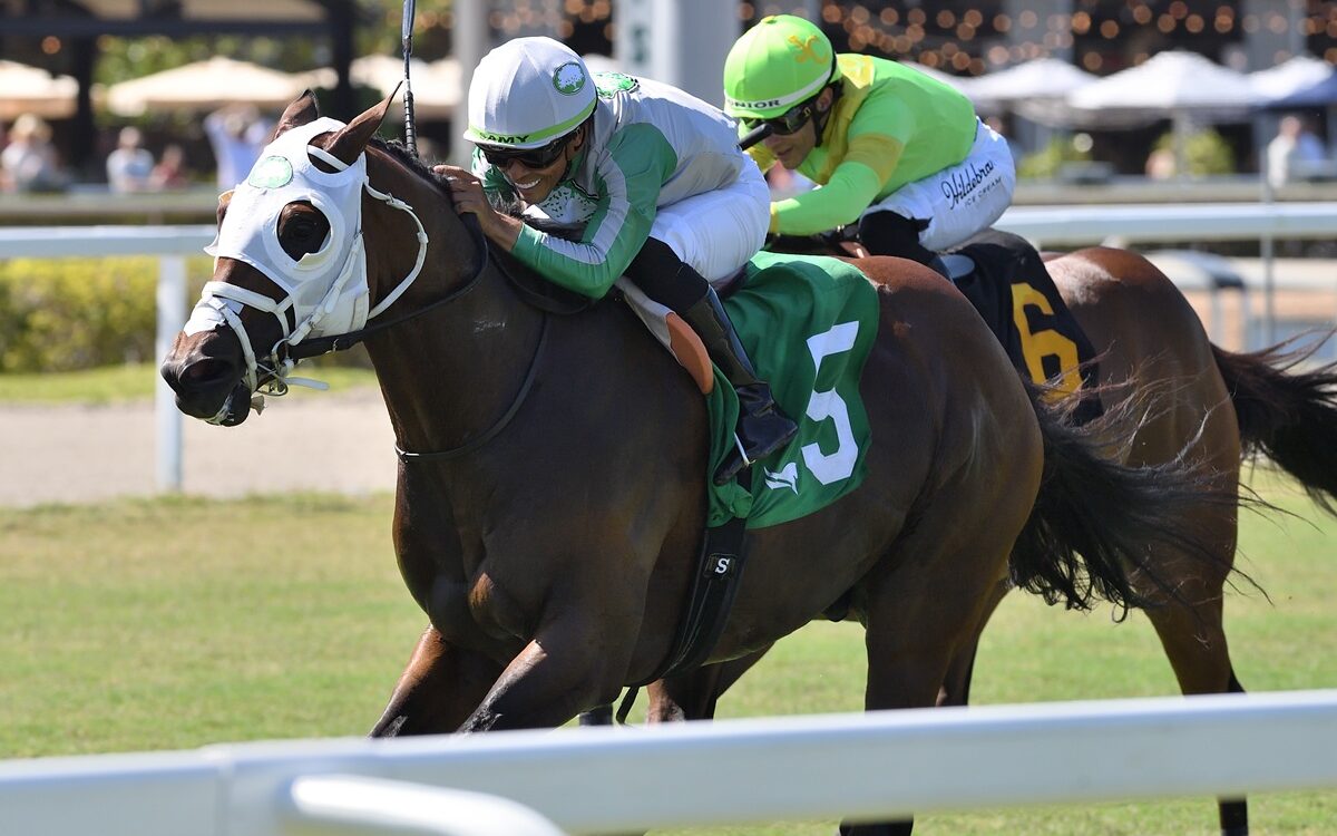 Tank - Ryan Thompson / Coglianese Photo