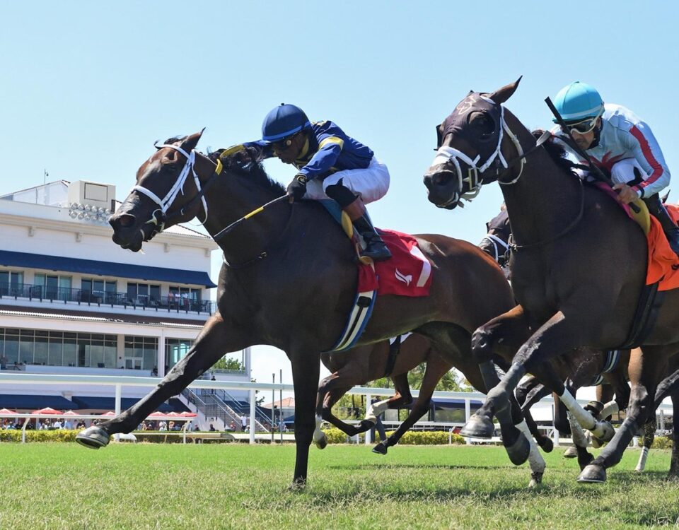Turino - Monroe Stakes - Gulfstream Park - Ryan Thompson - Coglianese Photo