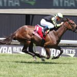 Gimme A Nother (SAf) - Grade III Eatontown Stakes - Photo By Bill Denver/EQUI-PHOTO
