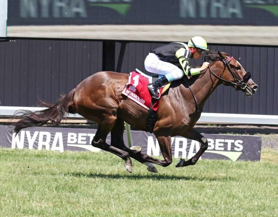 Gimme A Nother (SAf) - Grade III Eatontown Stakes - Photo By Bill Denver/EQUI-PHOTO