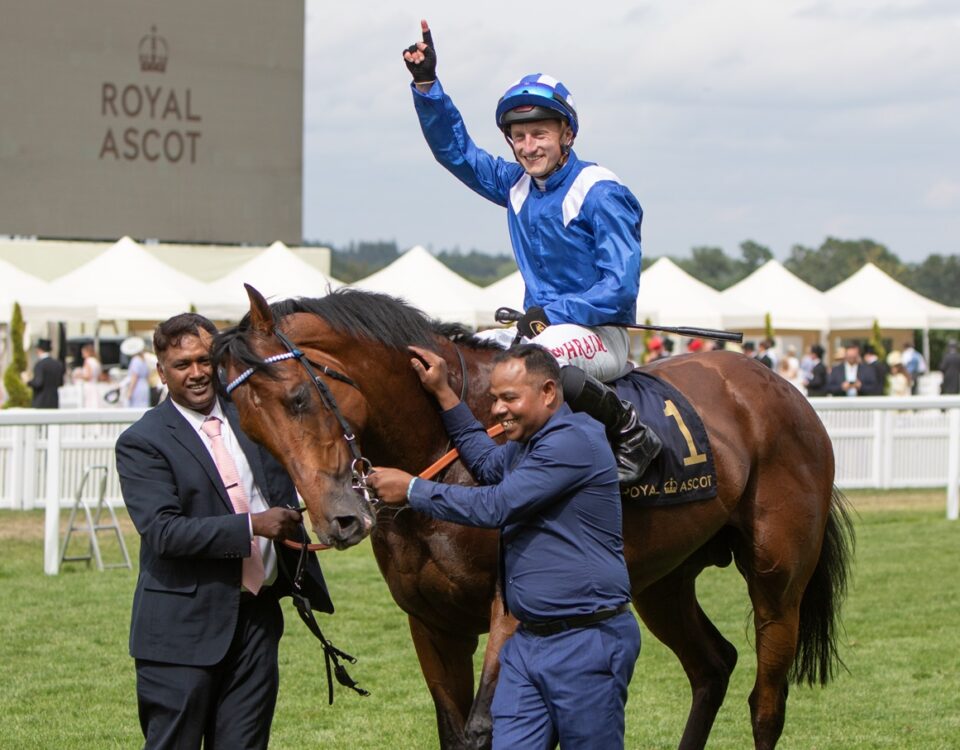 Almeraq (GB) - Queen Elizabeth II Jubilee Stakes (Grupo 1) - Julie Wright - Daily Racing Form