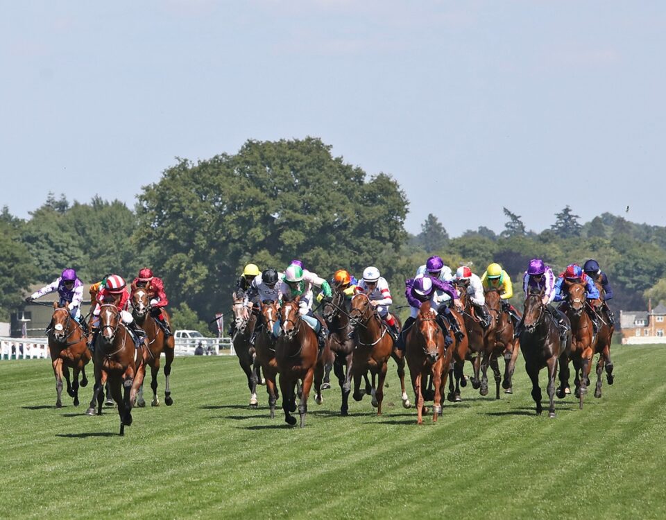 Royal Ascot - Daily Racing Form