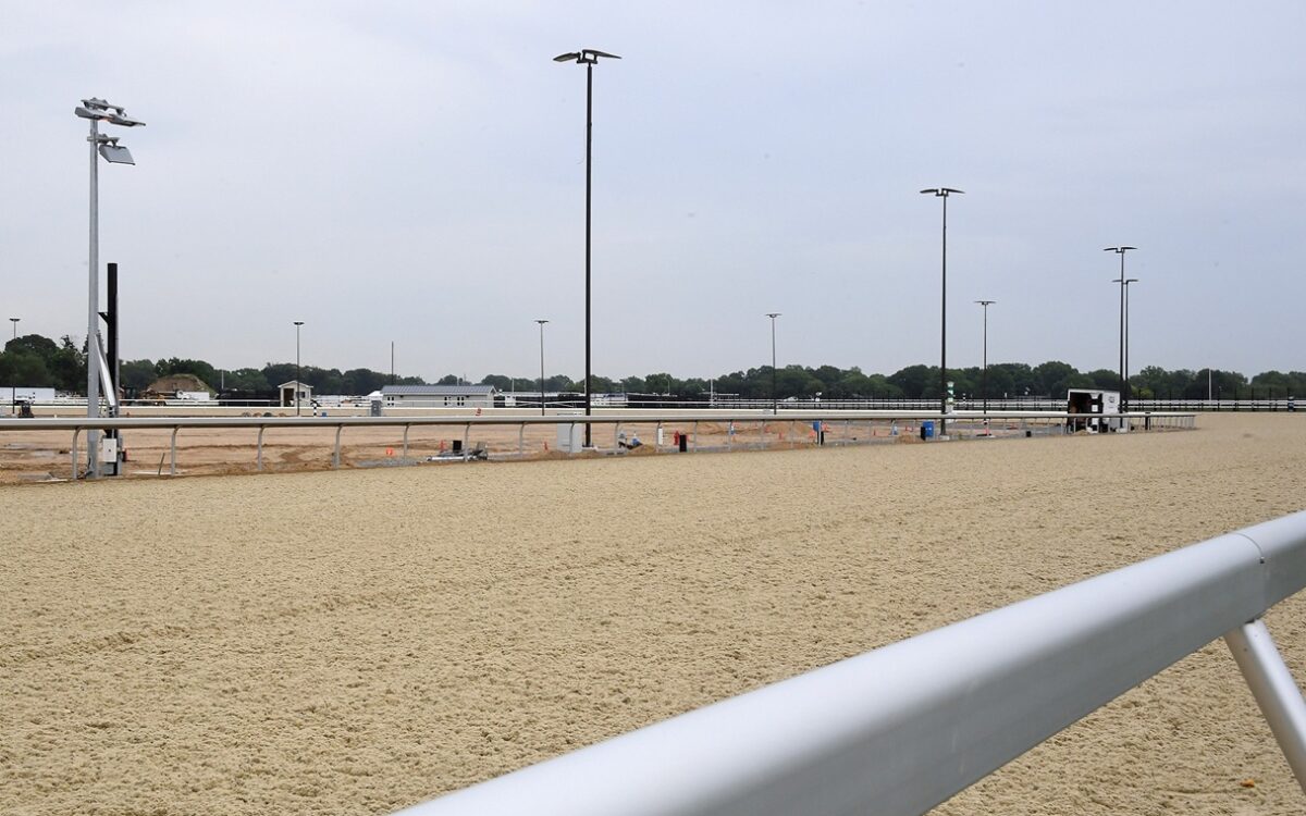 Belmont Park - tapeta - Barbara D. Livingston - Daily Racing Form