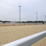 Belmont Park - tapeta - Barbara D. Livingston - Daily Racing Form
