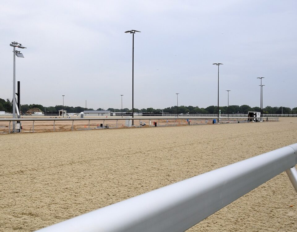 Belmont Park - tapeta - Barbara D. Livingston - Daily Racing Form
