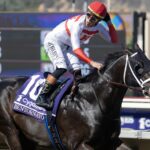 Bentornato - Foto: Barbara D. Livingston - Daily Racing Form