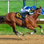 Big Cuddle - The Delaware Derby - Mary Lyons - Hoofprints Inc