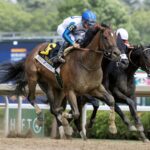 Book'em Danno - Barbara D. Livingston - Daily Racing Form