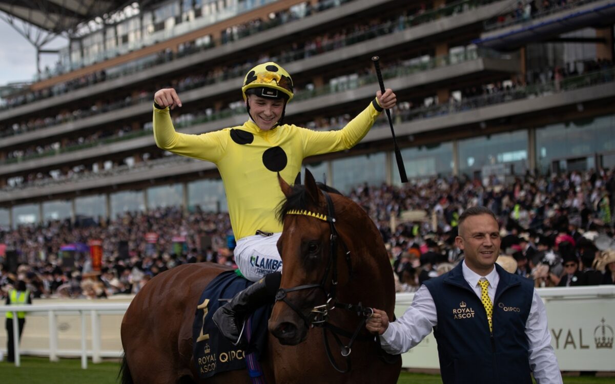 Bow Echo *Ire (Night of Thunder - St. James's Palace Stakes (Grupo 1) - Julie Wright - Daily Racing Form