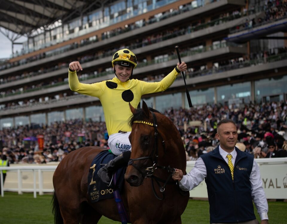 Bow Echo *Ire (Night of Thunder - St. James's Palace Stakes (Grupo 1) - Julie Wright - Daily Racing Form