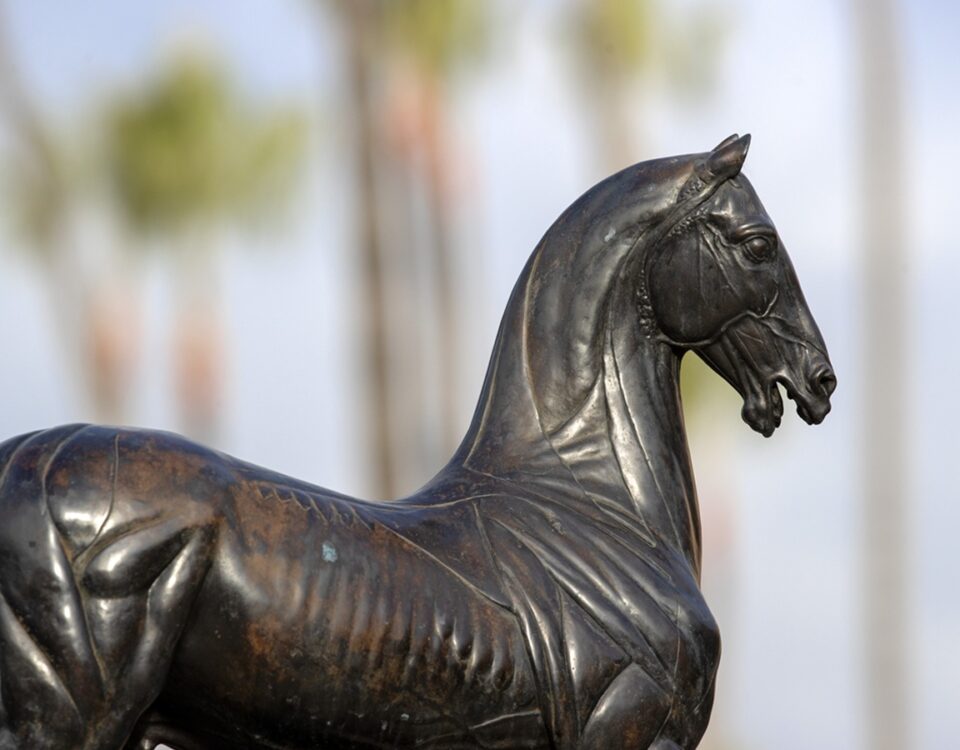 Breeders' Cup - Barbara D. Livingston - Daily Racing Form