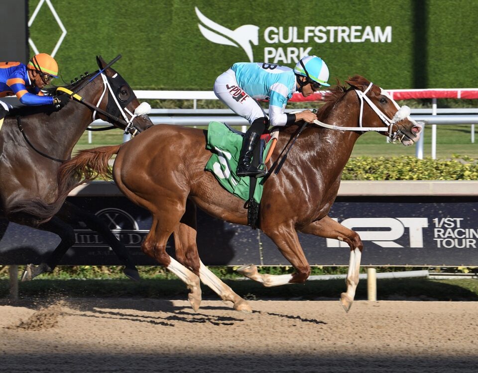 Chrome Ghost - Lauren King - Coglianese Photo