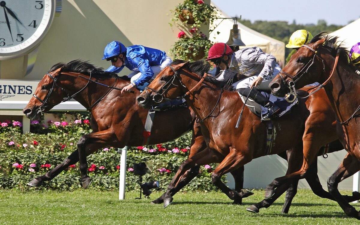 Royal Ascot - Daily Racing Form
