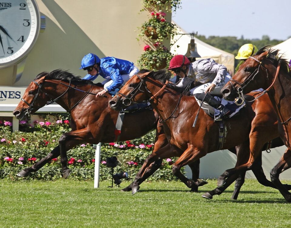 Royal Ascot - Daily Racing Form
