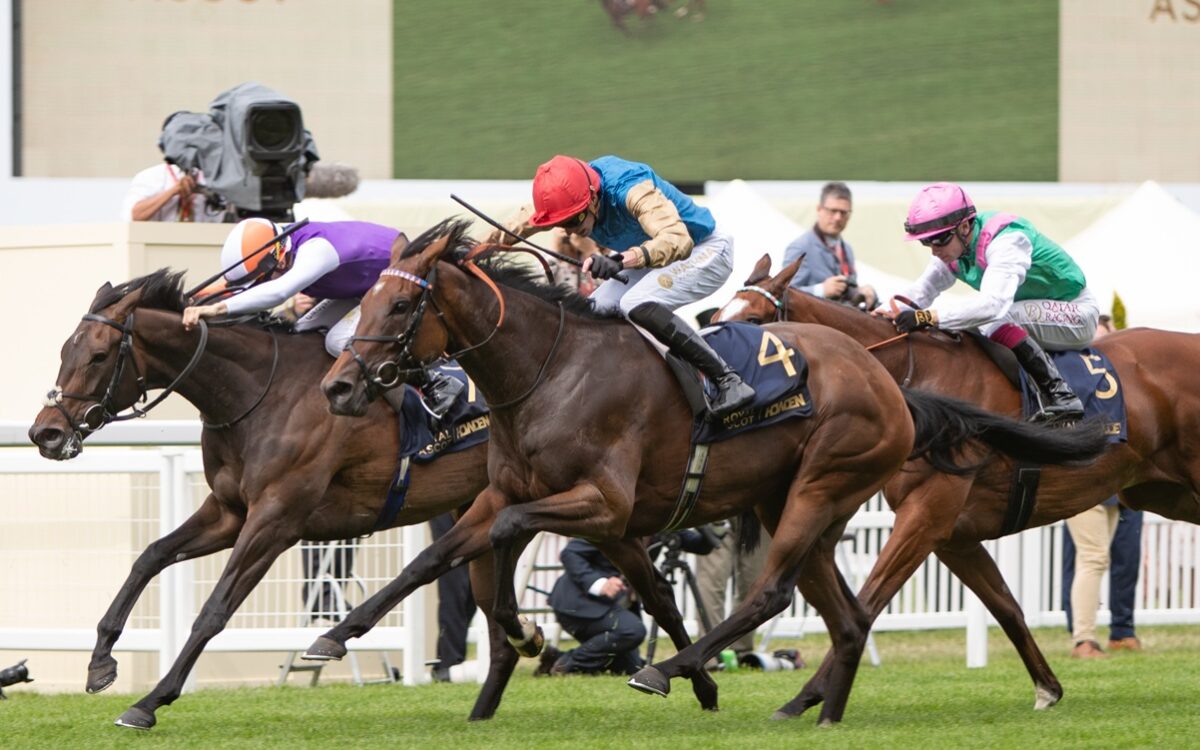 Earth Shot - Ribblesdale Stakes (Grupo 2) - Julie Wright - Daily Racing Form