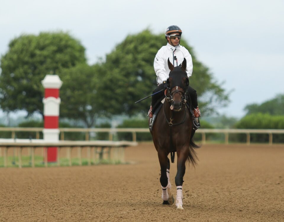 Golden Tempo en Keeneland - Foto: Keeneland Media