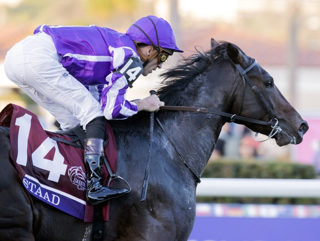 Gstaad - photo credit Barbara D. Livingston - Daily Racing Form