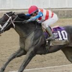 Hymn - Frank J. De Francis Memorial Dash Stakes - Laurel Park - Credit: JEFFREY SNYDER f/ THE MARYLAND JOCKEY CLUB