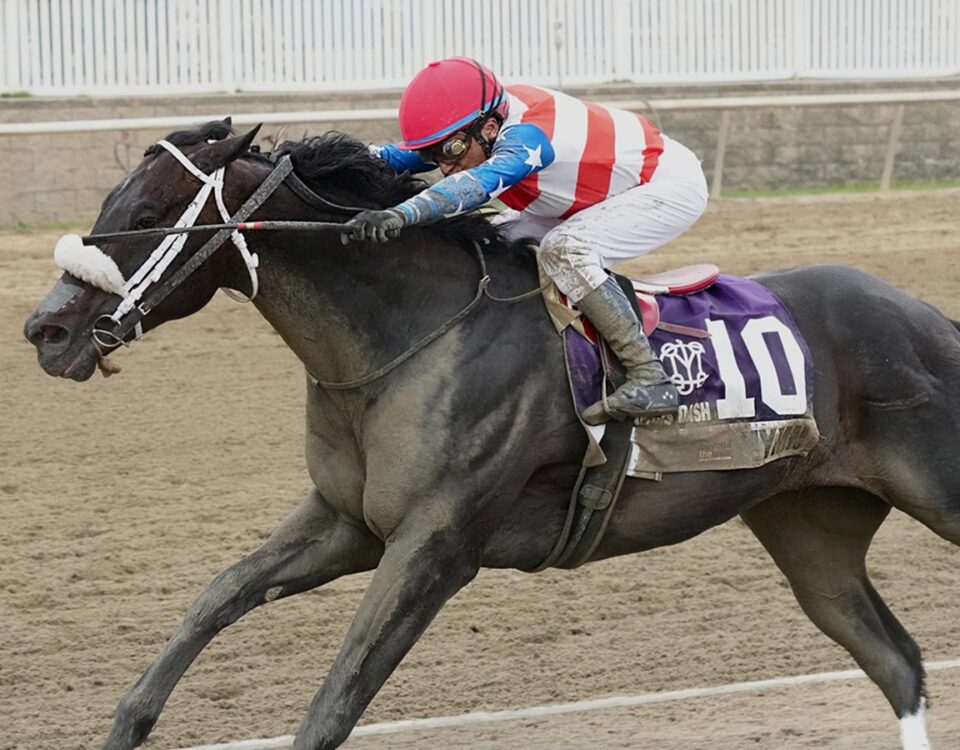 Hymn - Frank J. De Francis Memorial Dash Stakes - Laurel Park - Credit: JEFFREY SNYDER f/ THE MARYLAND JOCKEY CLUB