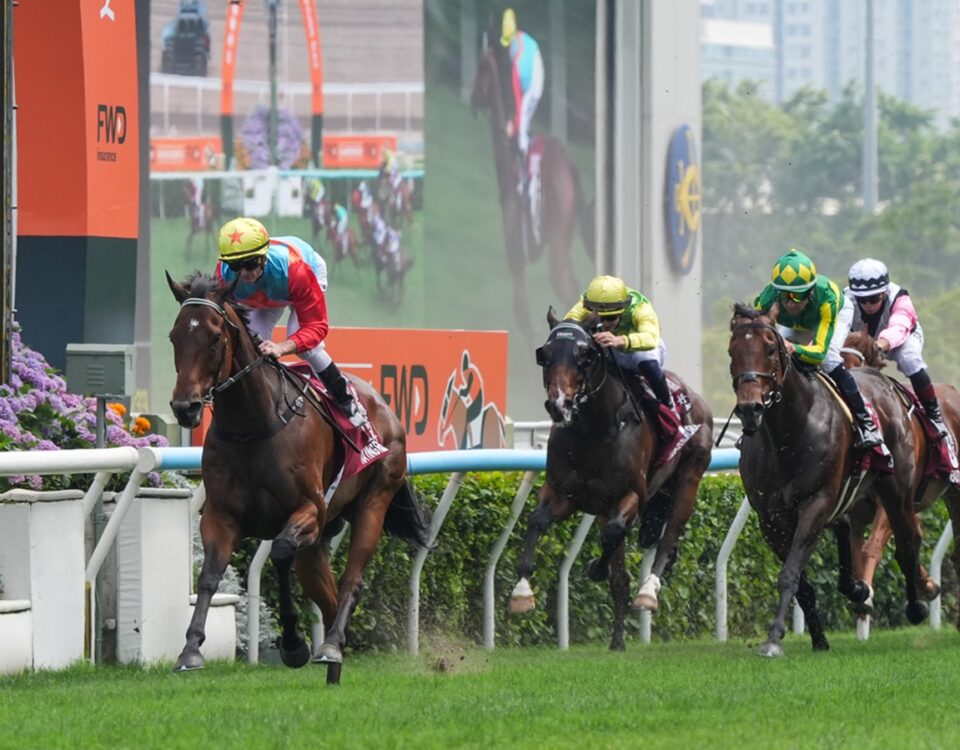 Ka Ying Rising - foto Hong Kong Jockey Club