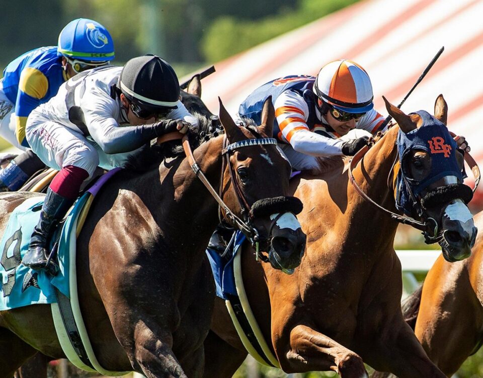 Kentucky Gal - Possibly Perfect Stakes - Santa Anita Park - BENOIT PHOTO