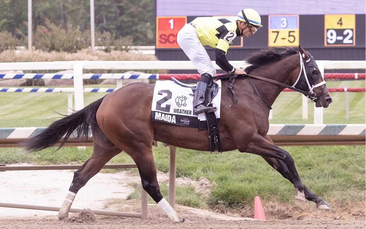 Maida - Laurel Park - foto Maryland Jockey Club
