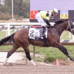 Maida - Laurel Park - foto Maryland Jockey Club