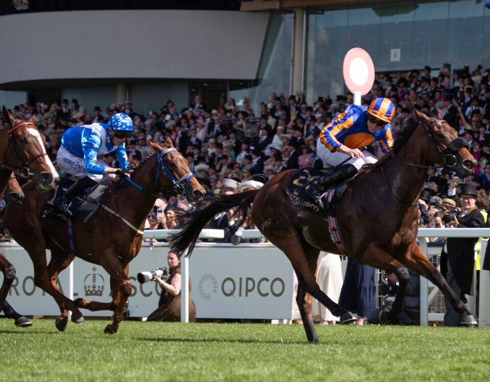 Mission Central *Ire - King Charles III Stakes (Grupo 1) - Julie Wright - Daily Racing Form