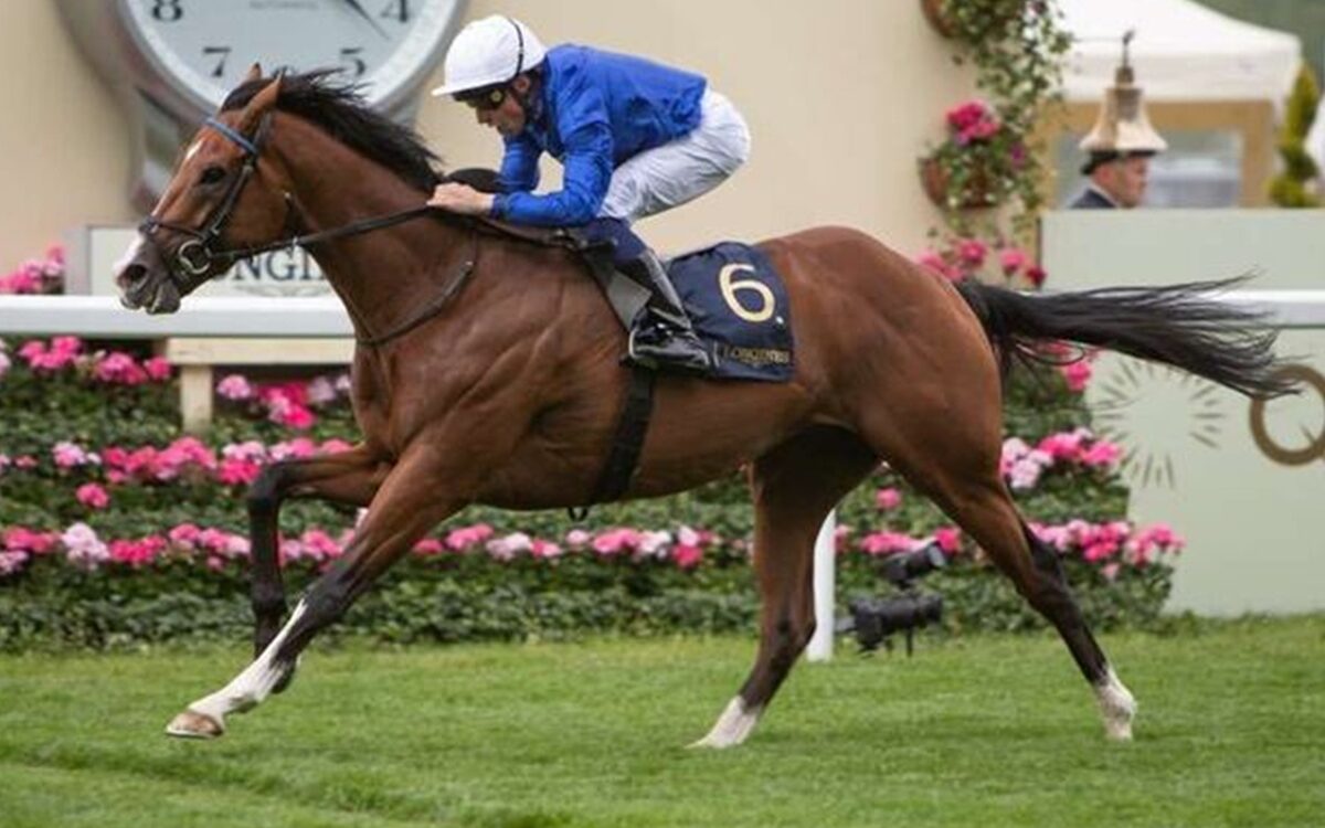 Ombudsman - Prince of Wales's Stakes G1 - Royal Ascot - Julie Wright - Daily Racing Form
