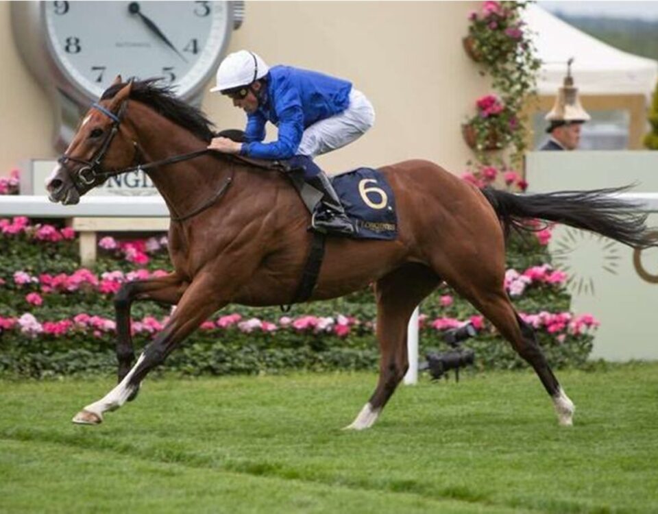 Ombudsman - Prince of Wales's Stakes G1 - Royal Ascot - Julie Wright - Daily Racing Form