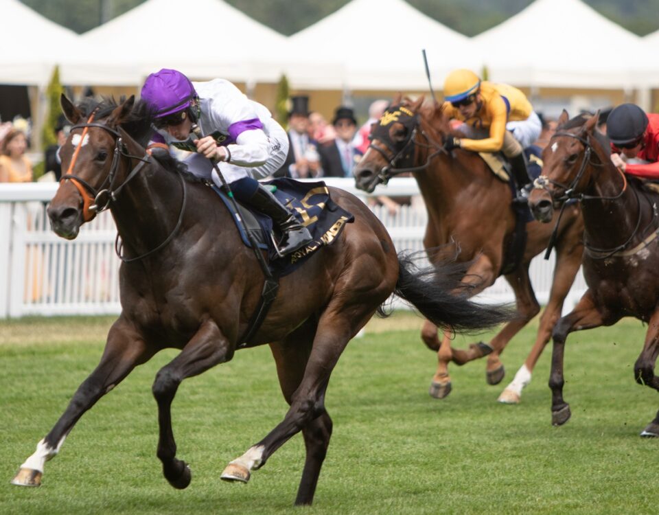 Orthodox - Norfolk Stakes (Grupo 2) - Julie Wright - Daily Racing Form