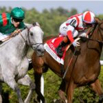 Portfolio Duration (GB) - New York Stakes G1 - Saratoga - Barbara D. Livingston - Daily Racing Form