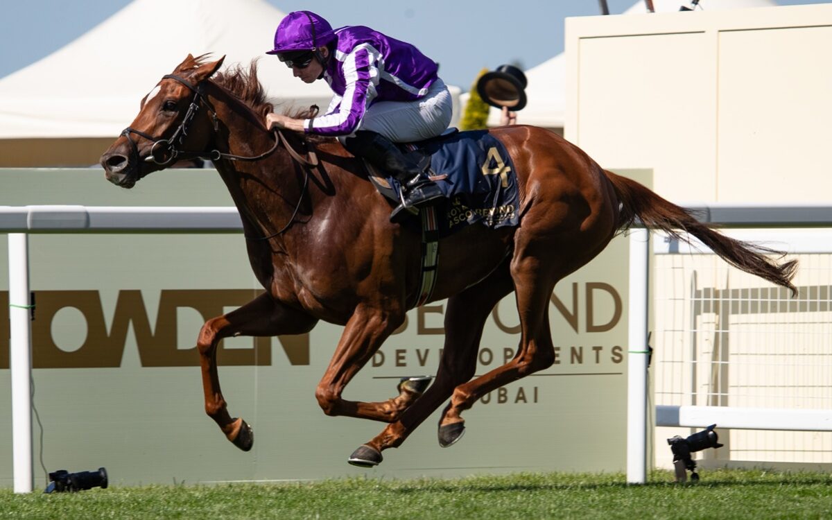 Precise - Julie Wright - Daily Racing Form