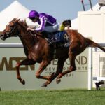 Precise - Julie Wright - Daily Racing Form