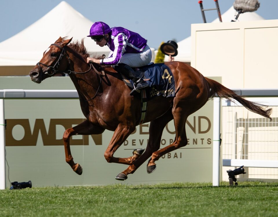 Precise - Julie Wright - Daily Racing Form