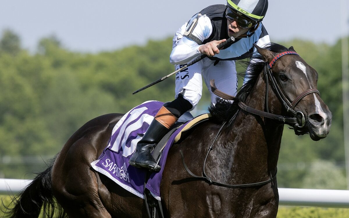 Roja - Barbara D. Livingston - Daily Racing Form