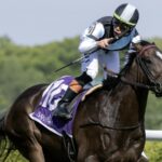 Roja - Barbara D. Livingston - Daily Racing Form