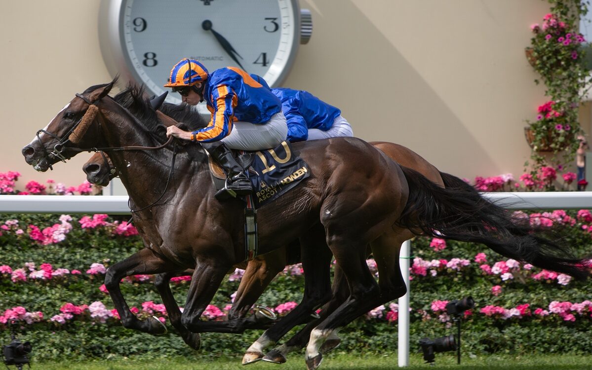 Scandinavia - The Gold Cup (Grupo 1) - Julie Wright - Daily Racing Form