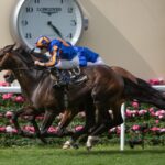 Scandinavia - The Gold Cup (Grupo 1) - Julie Wright - Daily Racing Form